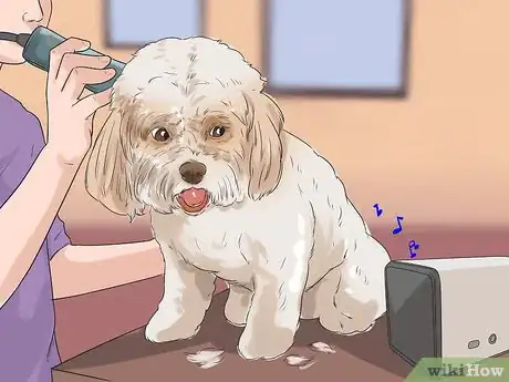 Image titled Groom a Dog That Bites Step 3