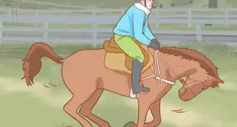 Avoid Injuries While Falling Off a Horse