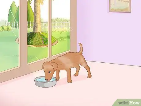 Image titled Prevent Kidney Stones in Dogs Step 1
