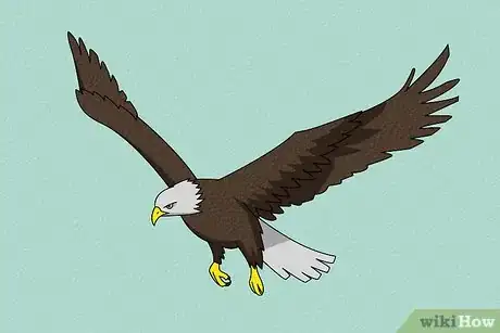 Image titled Draw an Eagle Step 18