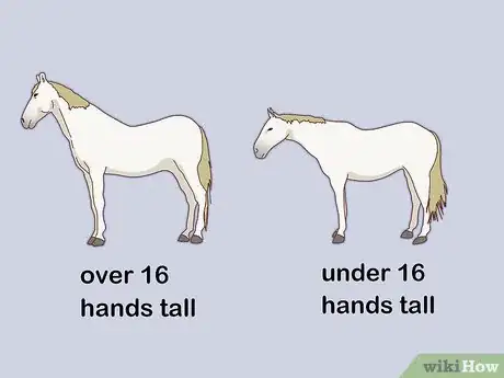 Image titled Measure the Height of Horses Step 11