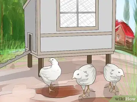 Image titled Train Chickens to Return to Their Coop Step 4