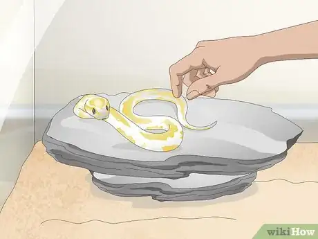 Image titled Build a Relationship with Your Snake Step 4