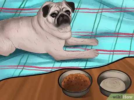Image titled Care for a Pug Step 3