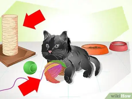 Image titled Help a New Kitten Become Familiar with Your Home Step 5
