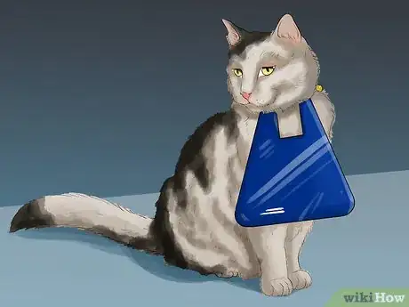 Image titled Try to Reduce Your Cat's Hunting Step 3