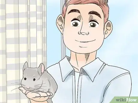 Image titled Let a Chinchilla out of its Cage Step 7