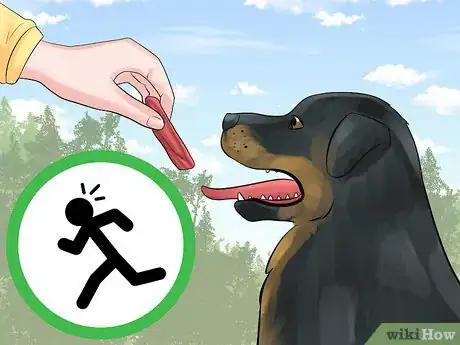 Image titled Train a Rottweiler to Be a Guard Dog Step 13