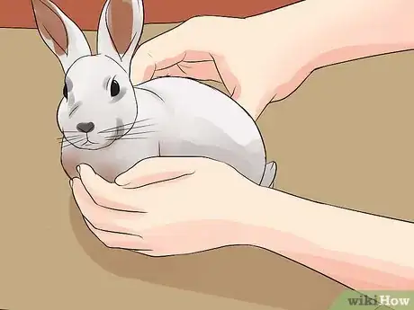 Image titled Restrain a Rabbit Step 6