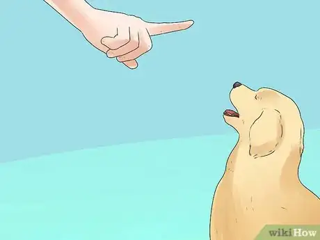 Image titled Train Your Dog to Hunt Step 4