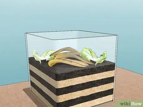 Image titled Make a Worm Habitat Step 4