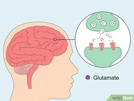 Image titled What Is Glutamate Step 1