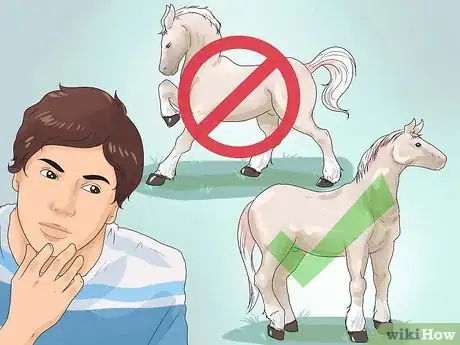 Image titled Approach Your Horse Step 1