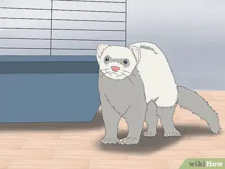 Image titled Litter Train Your Ferret Step 7