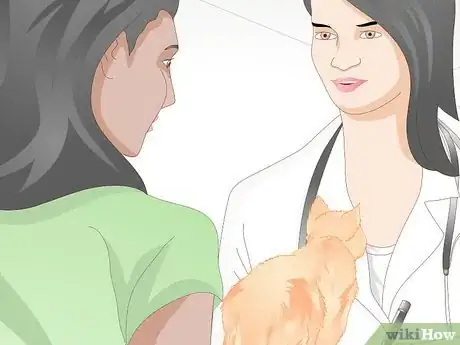 Image titled Bring a New Cat or Kitten Home Step 5