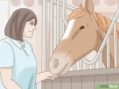 Image titled Convince Your Parents to Let You Buy a Horse Step 2