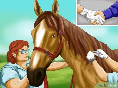 Image titled Vaccinate Horses Step 6