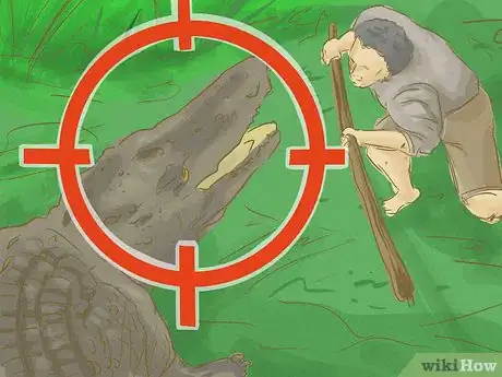 Image titled Survive an Encounter with a Crocodile or Alligator Step 17