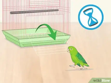 Image titled Interact with Your Parrotlet Step 3