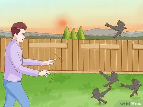 Image titled Get Rid of Crows Step 11