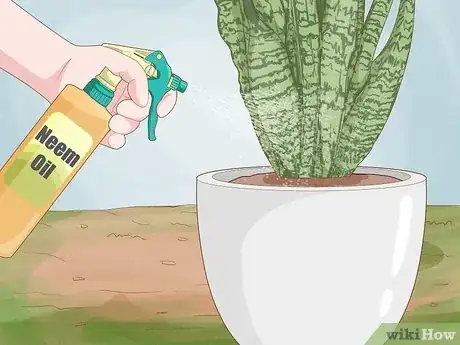 Image titled Remove Ants from Potted Plants Step 13