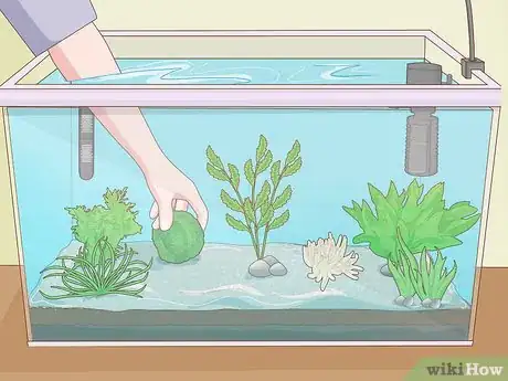 Image titled Set up an Aquarium With Live Plants Step 12