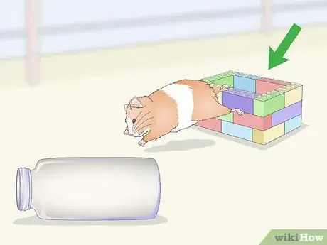 Image titled Teach a Hamster Tricks Step 9