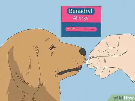 Image titled Soothe a Dog's Itchy Ears Step 1