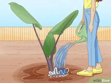 Image titled Determine How Much Water Plants Need Step 2