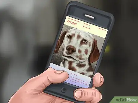 Image titled Identify a Dalmatian Step 8