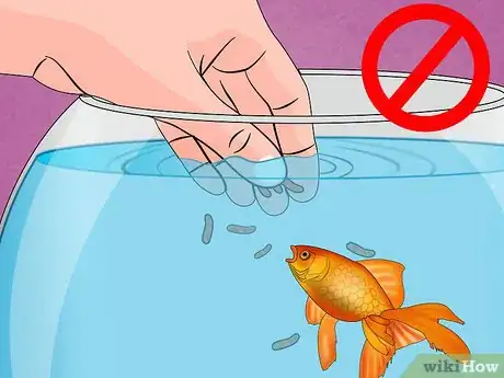 Image titled Fix Swim Bladder Disease in Goldfish Step 11