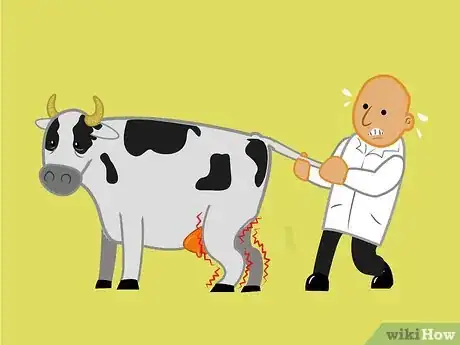 Image titled Get a Cow With Nerve Damage to Her Hind Legs from a Long Birth or Hard Pull to Stand Up Step 3