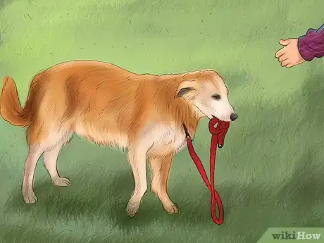 Image titled Teach a Dog to Tell You when He Wants to Go Outside Step 6