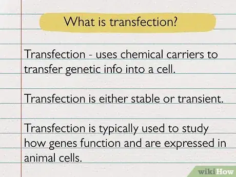 Image titled Transfection vs Transduction Step 3
