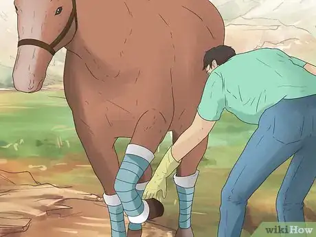 Image titled Wrap a Horse's Leg Step 39