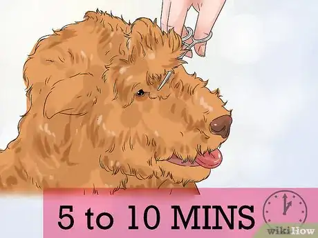 Image titled Groom a Dog That Bites Step 1