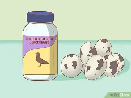 Image titled Get Quails to Lay Eggs Step 8
