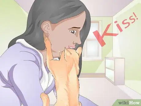 Image titled Teach Your Cat to Kiss Step 5