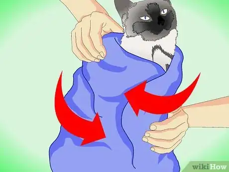 Image titled Get Rid of Dry Skin on Cats Step 6