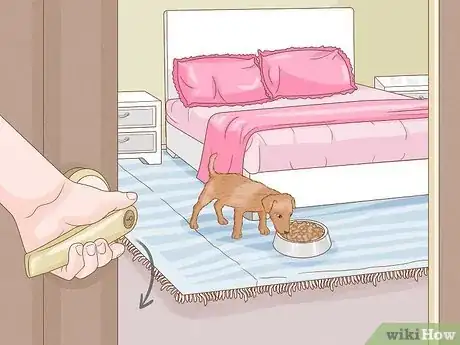 Image titled Get a Dog to Eat Step 15