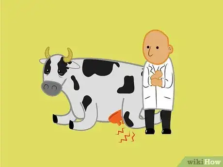 Image titled Get a Cow With Nerve Damage to Her Hind Legs from a Long Birth or Hard Pull to Stand Up Step 8