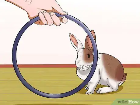 Image titled Teach Your Rabbit to Jump over Something Step 10