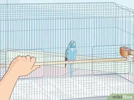 Image titled Choose a Cage for a Budgie Step 11