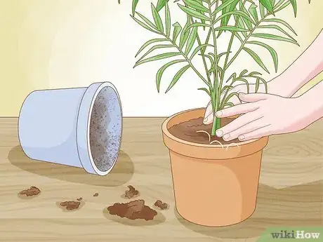 Image titled Why Does Your Plant Soil Have Mold Step 8