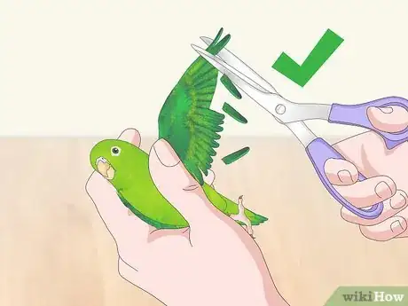 Image titled Interact with Your Parrotlet Step 9