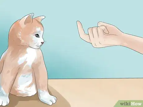Image titled Tell if Your Cat Is Deaf Step 9