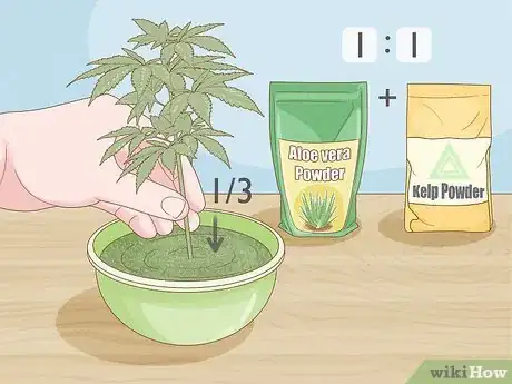 Image titled Clone a Marijuana Plant Without Rooting Hormone Step 4