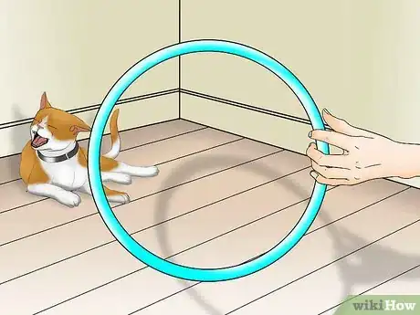 Image titled Train a Cat to Jump Through a Hoop Step 2