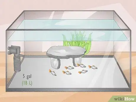 Image titled Know How Many Fish You Can Place in a Fish Tank Step 3