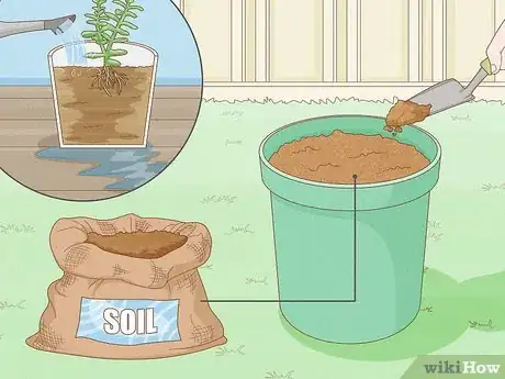 Image titled Repot a Succulent Step 4